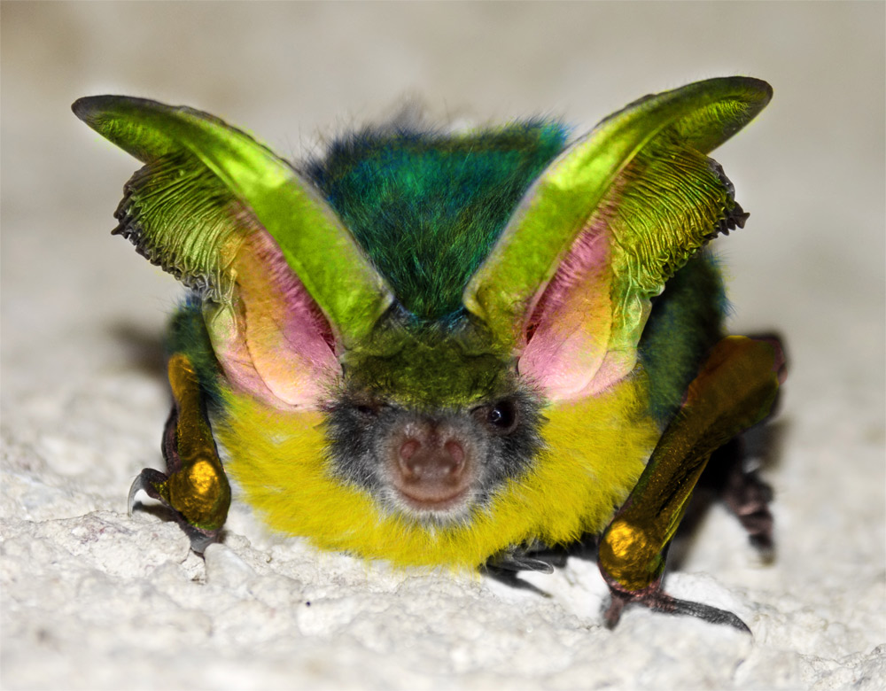 Photoshop-Design von robotlick für DesignCrowd (Community Contests) | Design #8975895