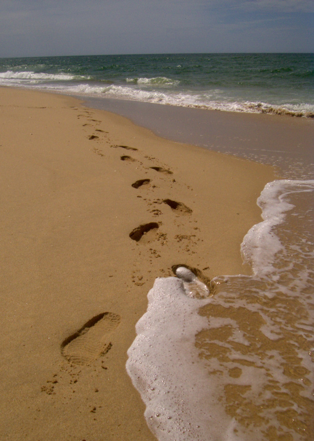 Photography by rexybaby for DesignCrowd (Community Contests) | Design #8974486