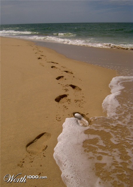 Photography by rexybaby