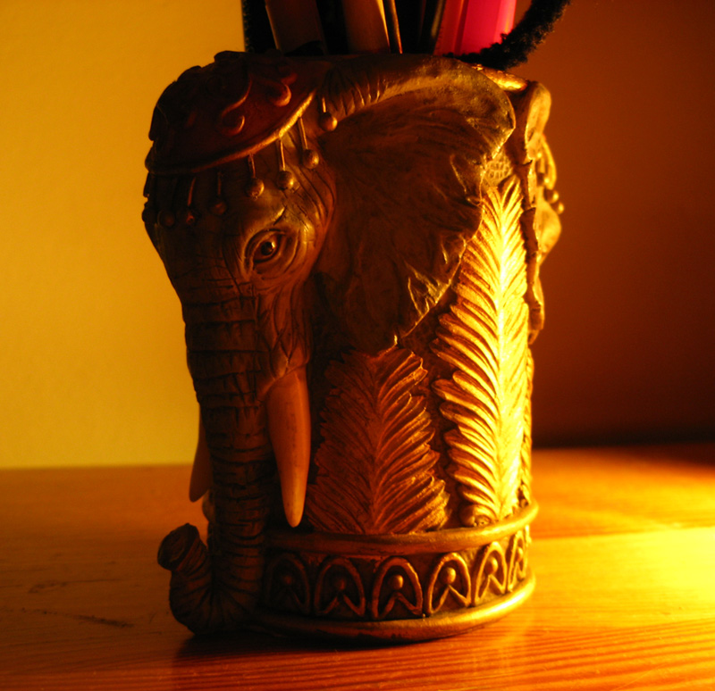 Photography by maibae for DesignCrowd (Community Contests) | Design #8974218