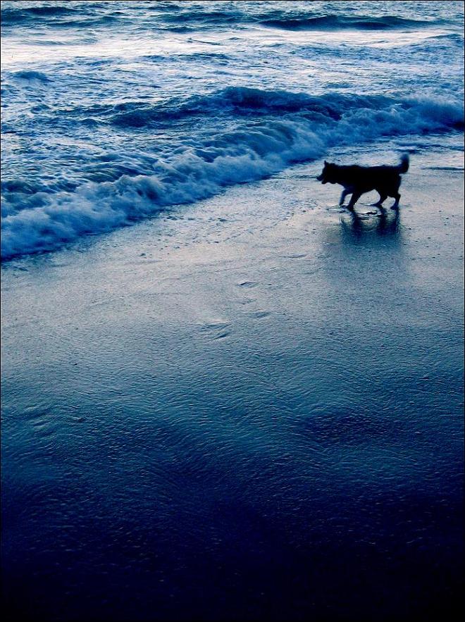Photographie par HeavenlyPerverse pour DesignCrowd (Community Contests) | Design #8974556