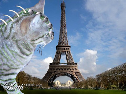 Photoshop Design by anianedrelid