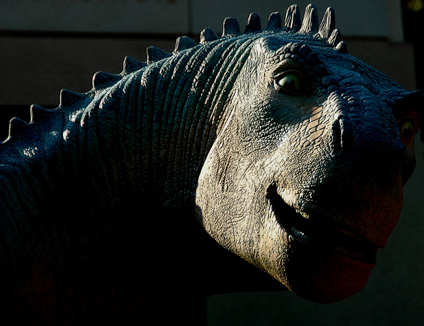 Photography by Jawizza for DesignCrowd (Community Contests) | Design #8974211