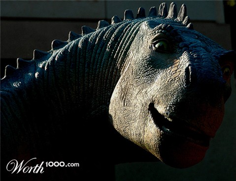 Photography by Jawizza