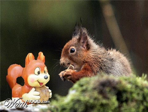 Photoshop Design by dogboy44