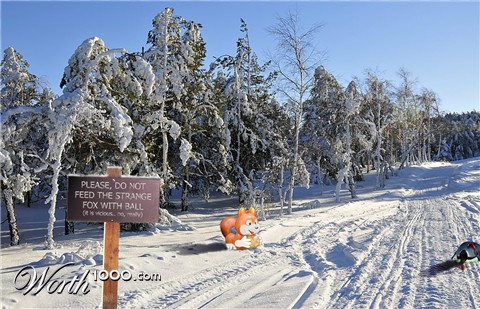 Photoshop Design by perraquina