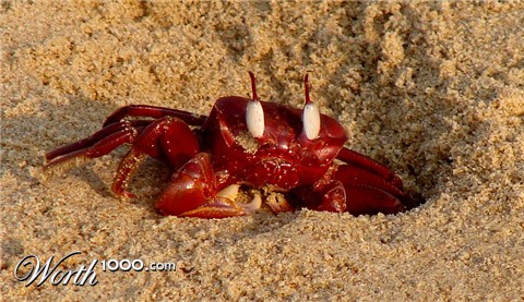 Photography by pinakeep