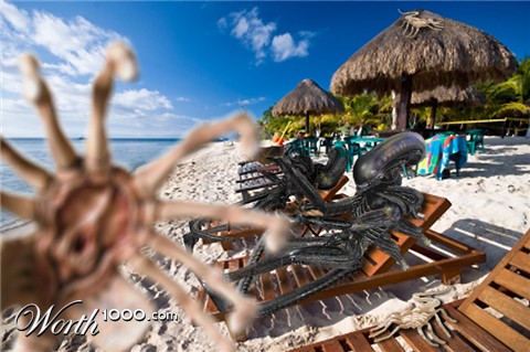 Photoshop Design by DolmaCat