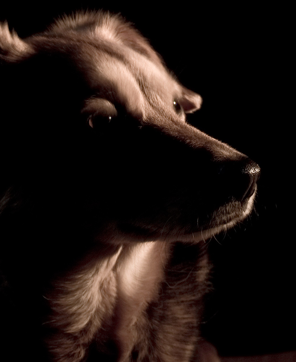 Fotografie von Supagray für DesignCrowd (Community Contests) | Design #8974231