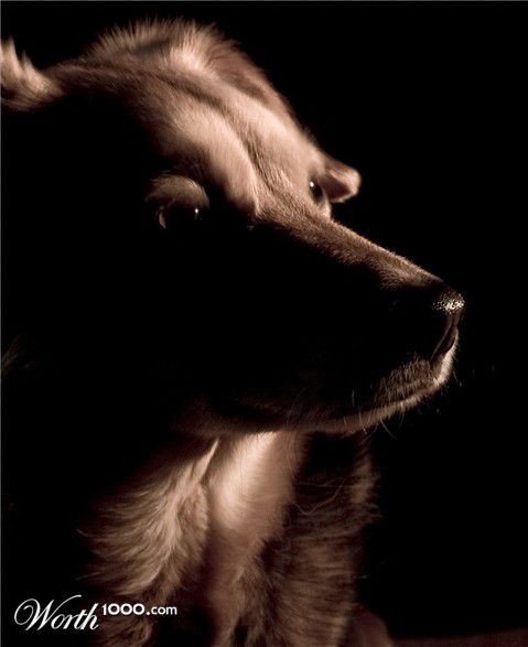 Photography by Supagray