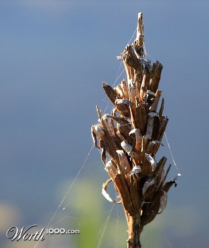 Photography by rocky0009