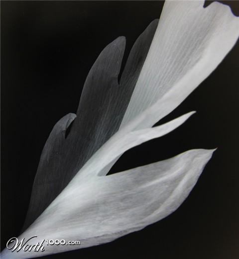 Photography by Feature