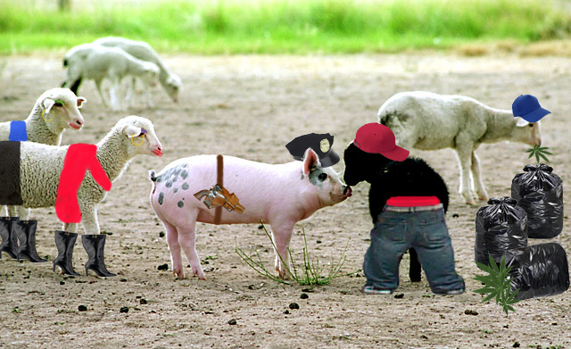 Photoshop-Design von K4T3R1N4 für DesignCrowd (Community Contests) | Design #8972023