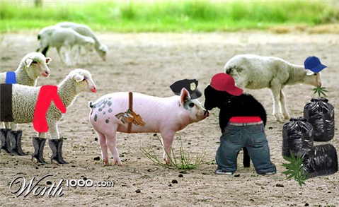 Photoshop Design by K4T3R1N4