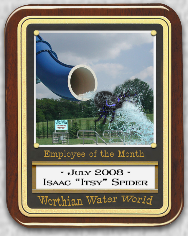 Photoshop Design by ConnieB for DesignCrowd (Community Contests) | Design #8972013