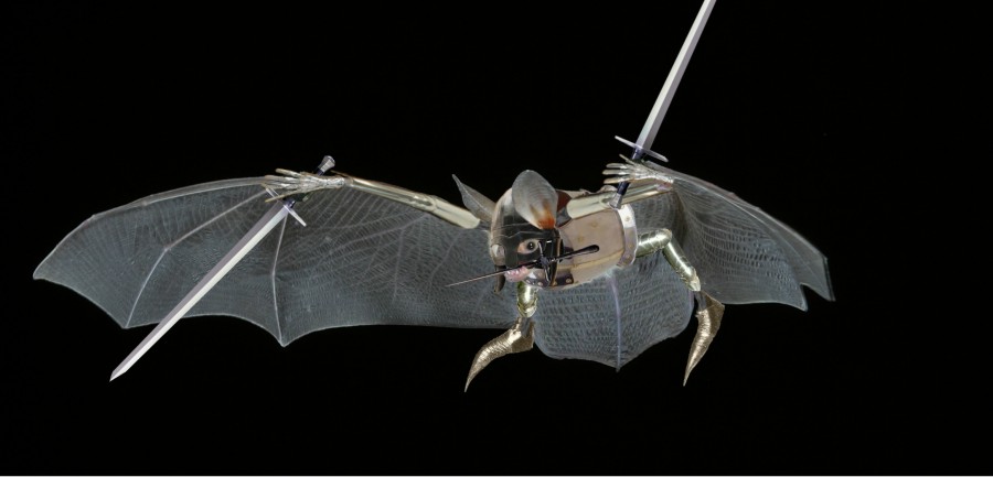 Photoshop Design by Fishwife for DesignCrowd (Community Contests) | Design #8977499