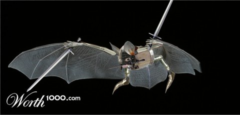 Photoshop Design by Fishwife