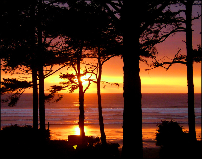 Photography by PixelDustMT for DesignCrowd (Community Contests) | Design #8974618