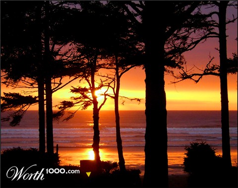 Photography by PixelDustMT