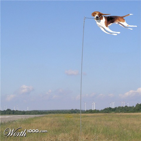 Photoshop Design by bicyclewilli