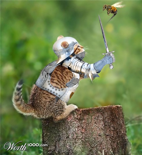 Photoshop Design by colleague