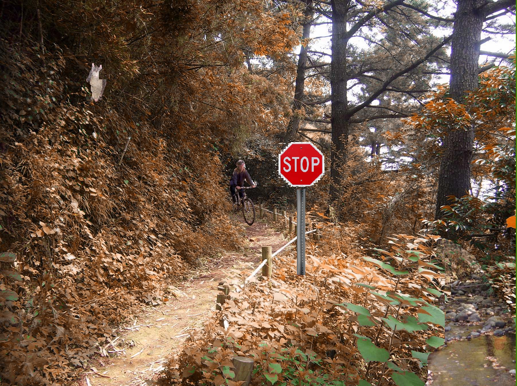 Photoshop Design by dogboy44 for DesignCrowd (Community Contests) | Design #8972571