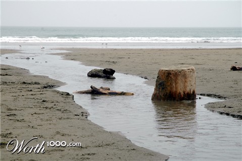 Photography by cameronsangel