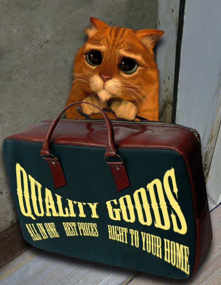 Photoshop Design by schuba for DesignCrowd (Community Contests) | Design #8972061