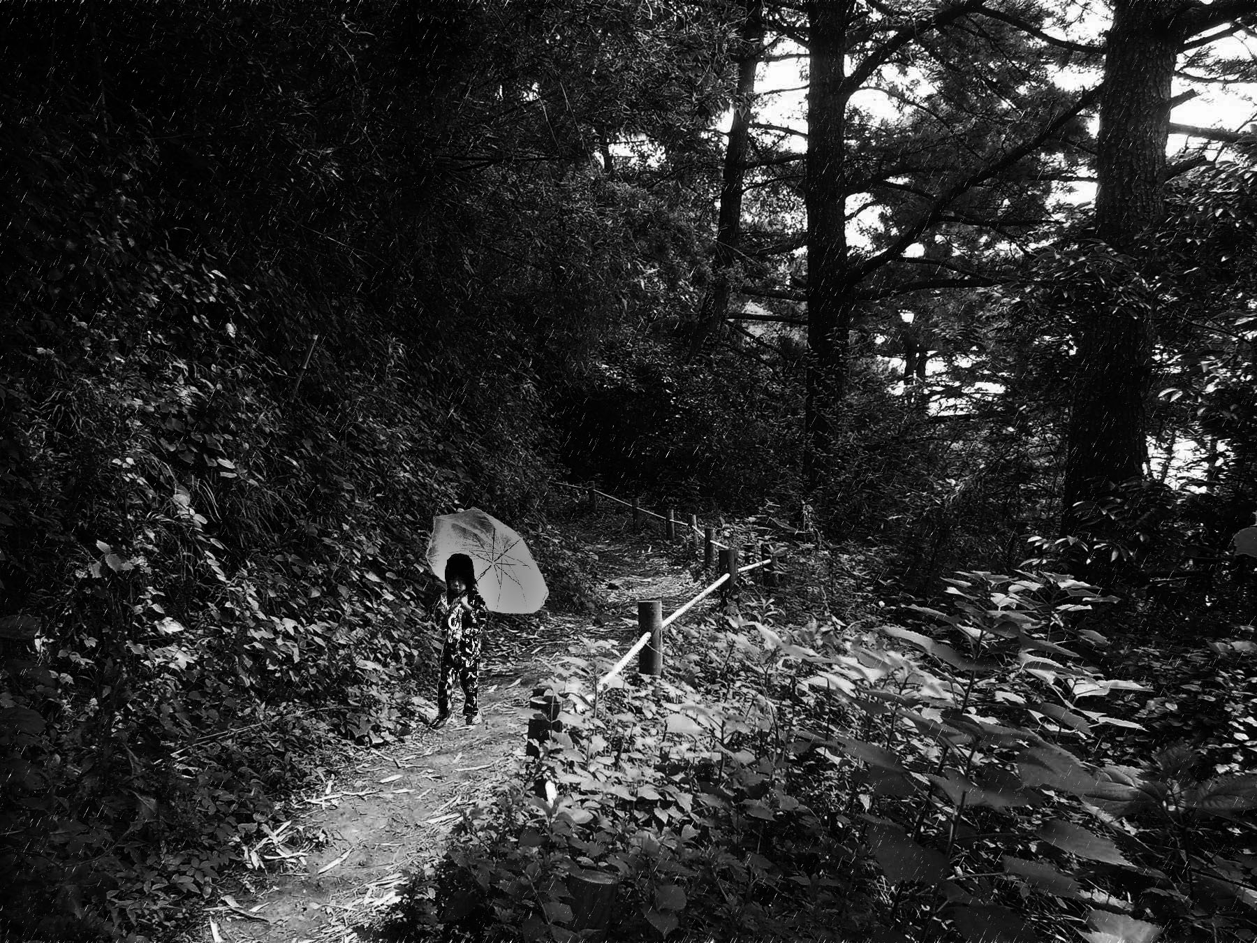 Photoshop-Design von Colorfullpopcorn für DesignCrowd (Community Contests) | Design #8972567