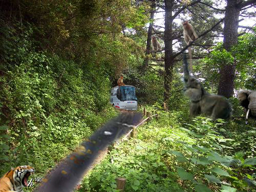 Photoshop Design by anoopramachandran for DesignCrowd (Community Contests) | Design #8972559