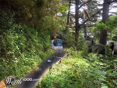 Photoshop Design by anoopramachandran