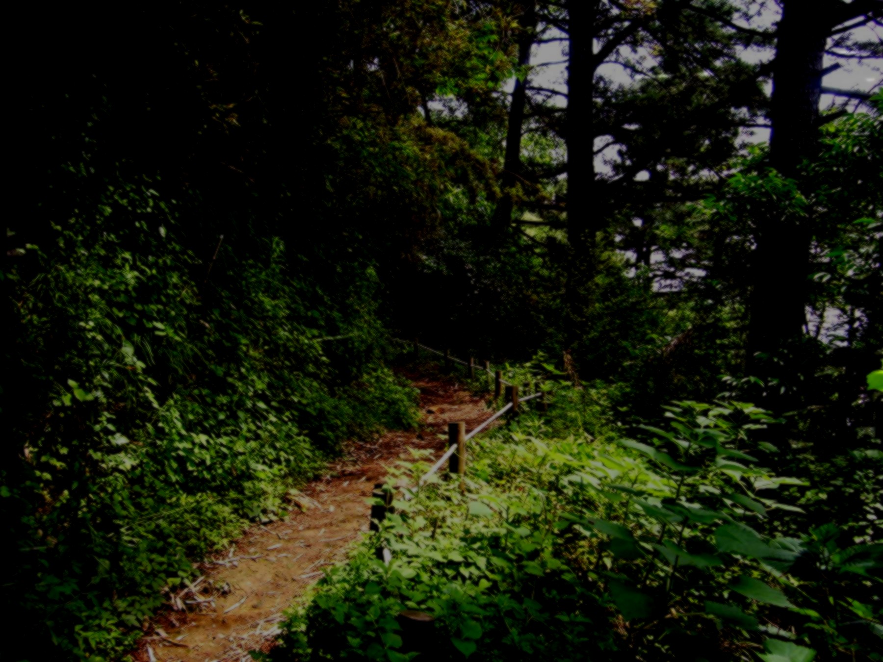 Design Photoshop par bowdyyz69 pour DesignCrowd (Community Contests) | Design #8972551