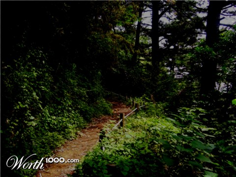 Photoshop Design by bowdyyz69