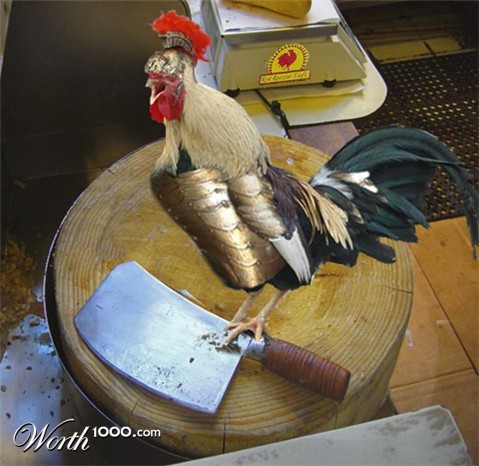 Photoshop Design by Pucker