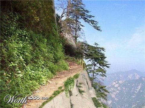 Photoshop Design by Roymeddy