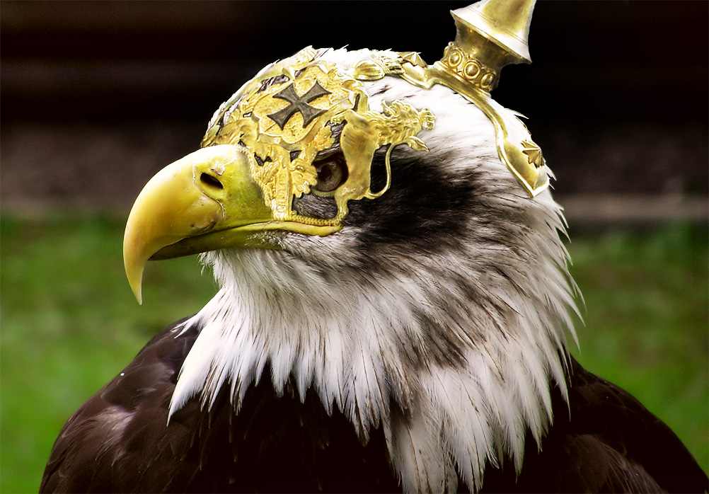 Photoshop Design by Paradox1970 for DesignCrowd (Community Contests) | Design #8977574