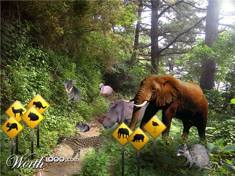 Photoshop Design by anianedrelid