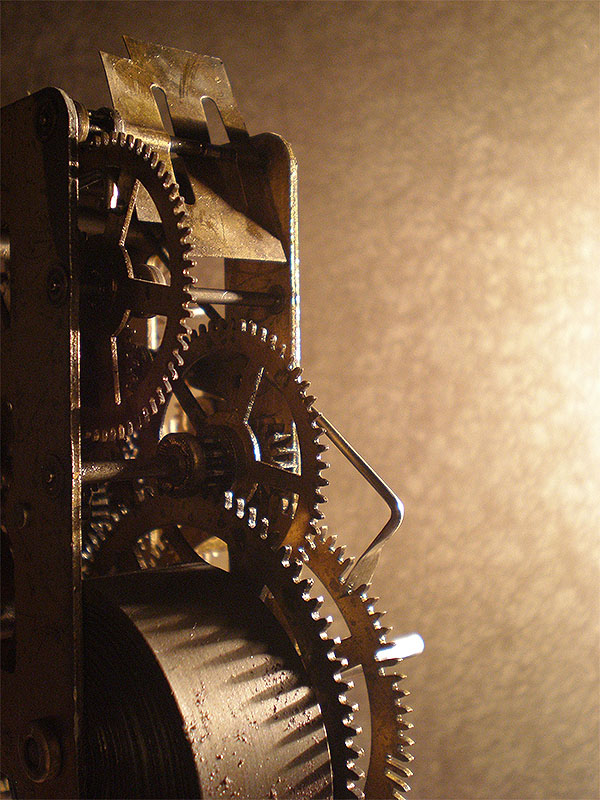 Photography by amirbse for DesignCrowd (Community Contests) | Design #8974283