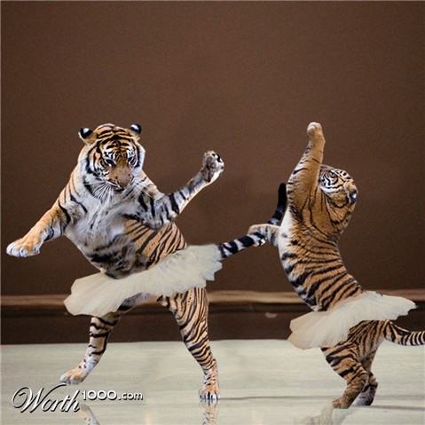 Photoshop Design by suguna