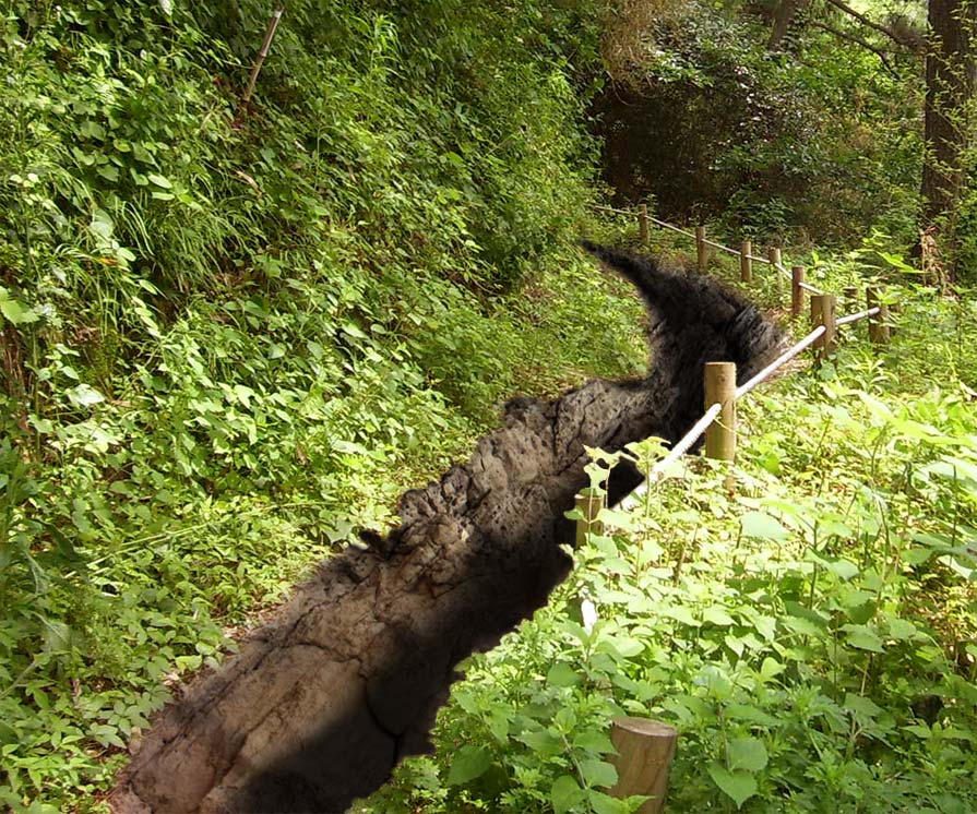 Photoshop Design by lucimine for DesignCrowd (Community Contests) | Design #8972607