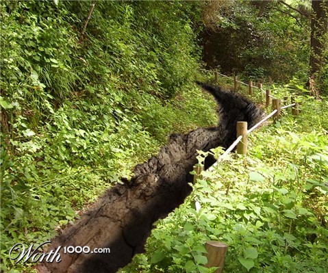 Photoshop Design by lucimine