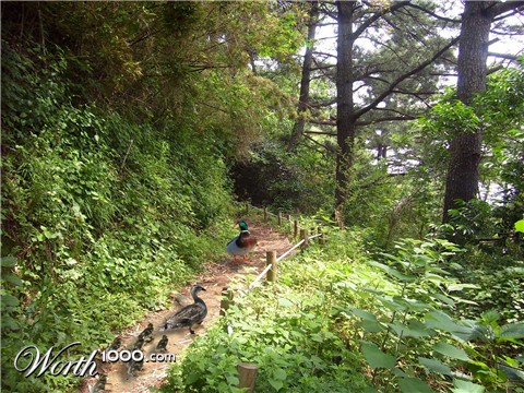 Photoshop Design by ferretsgames