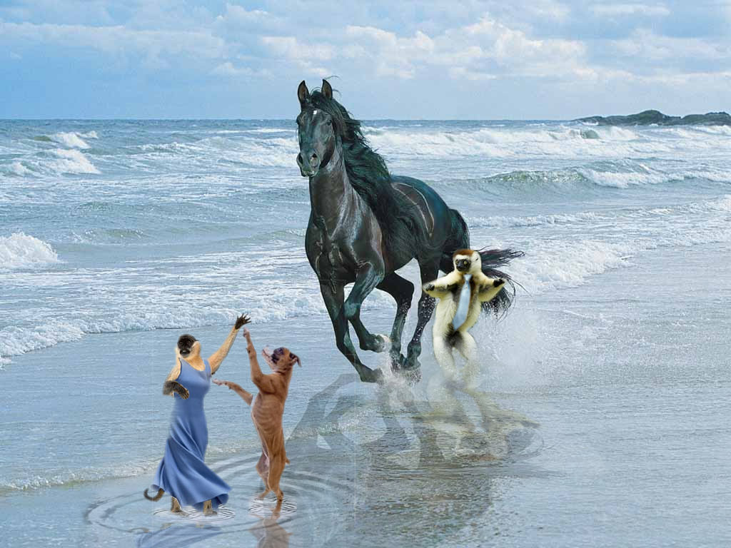 Diseño de Photoshop por NaMkAo para DesignCrowd (Community Contests) | Diseño #8977378