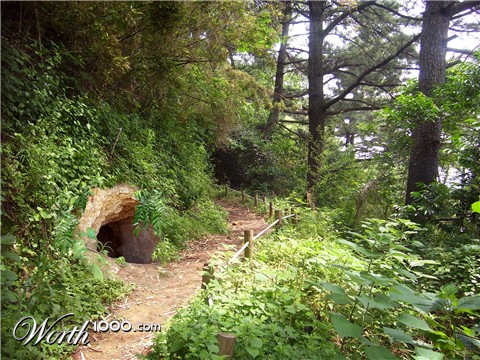 Photoshop Design by MrFish