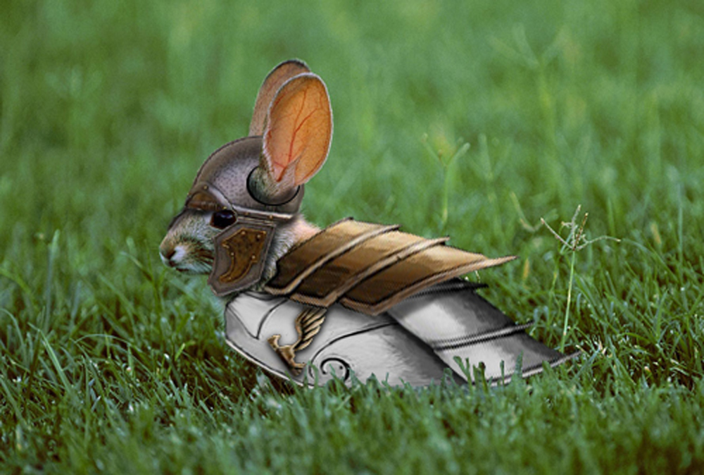 Photoshop Design by alesiphoto for DesignCrowd (Community Contests) | Design #8977662