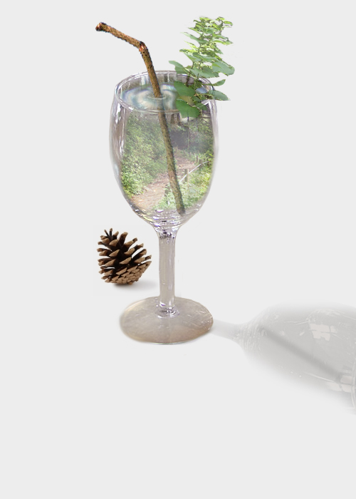 Diseño de Photoshop por Taschmina para DesignCrowd (Community Contests) | Diseño #8972673