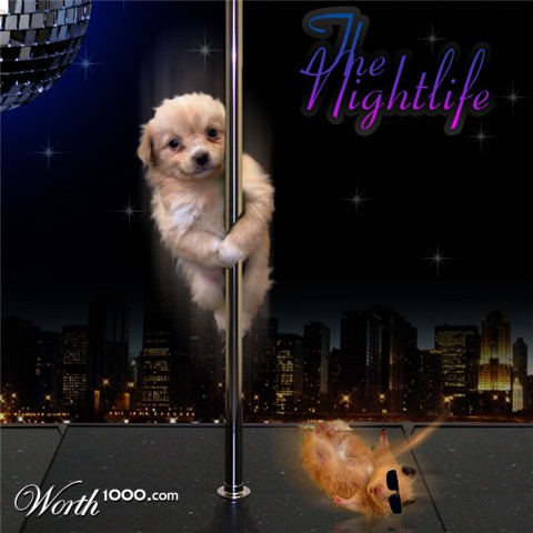 Photoshop Design by likeatalltree