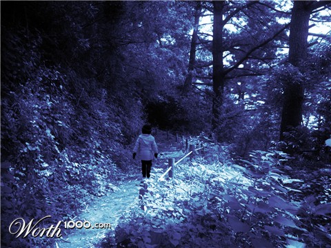 Photoshop Design by ShaniD
