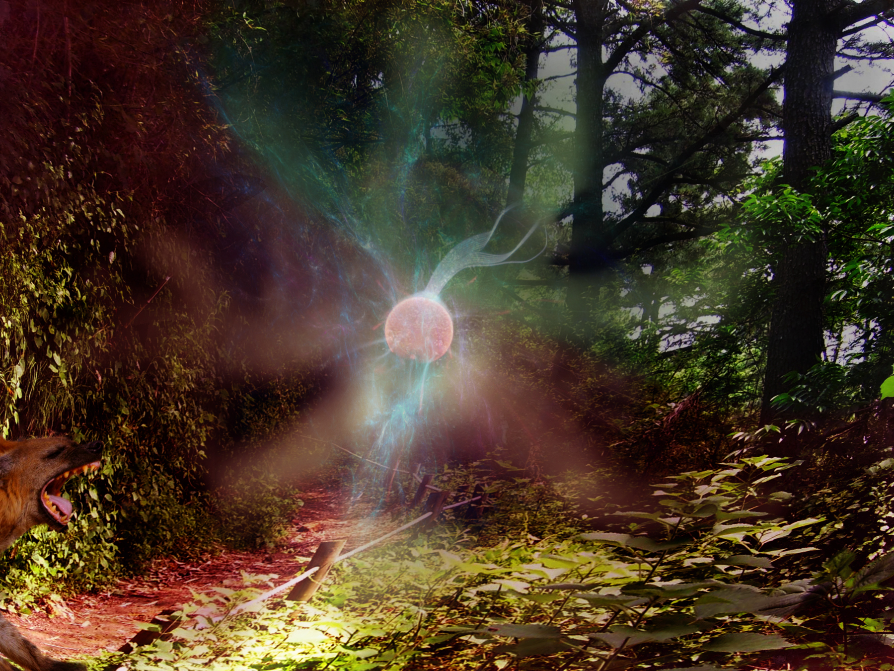 Photoshop Design by ArtOfMusic for DesignCrowd (Community Contests) | Design #8972600