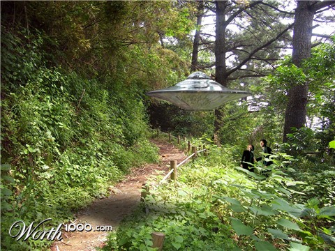 Photoshop Design by Petrushall